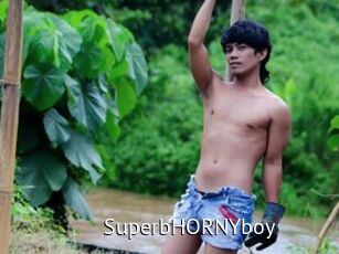 SuperbHORNYboy