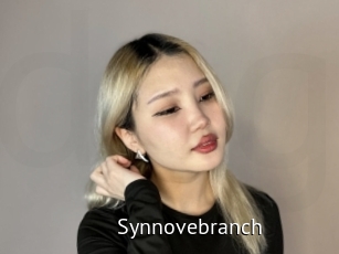 Synnovebranch