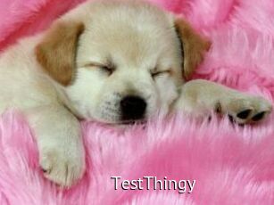 TestThingy