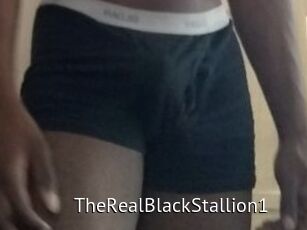 TheRealBlackStallion1