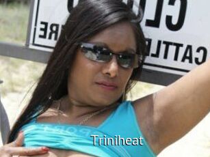 Triniheat