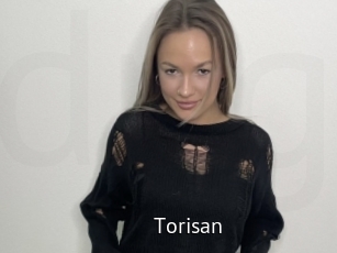 Torisan