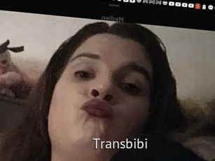 Transbibi