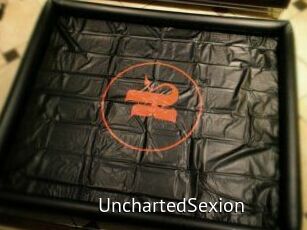 UnchartedSexion