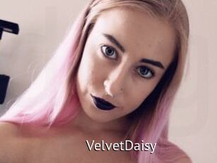 VelvetDaisy