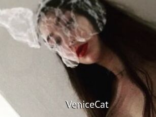 VeniceCat