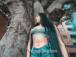 Venus_Walton