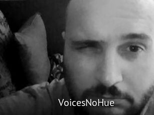 VoicesNoHue