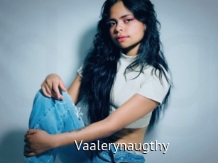 Vaalerynaugthy