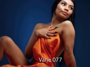 Vane_077