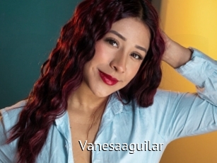 Vanesaaguilar