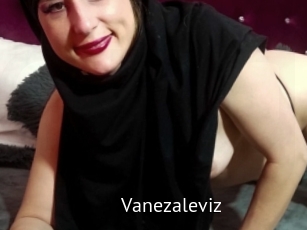 Vanezaleviz