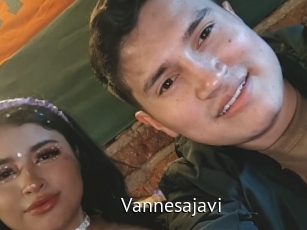 Vannesajavi