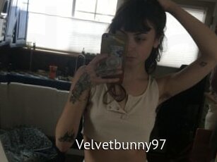 Velvetbunny97