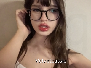 Velvetcassie