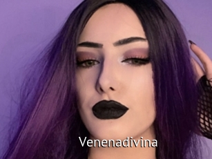 Venenadivina