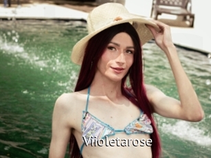 Viioletarose