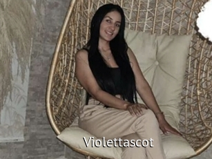 Violettascot