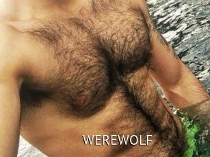 WEREWOLF