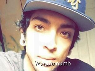 Waytoonumb