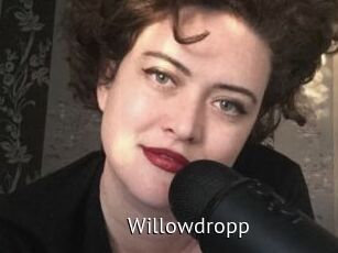 Willowdropp