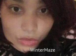 Winter_Maze