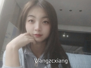Wangzcxiang