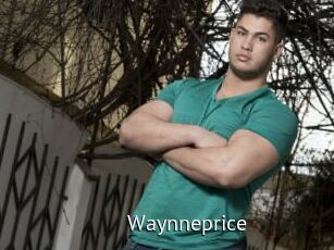 Waynneprice