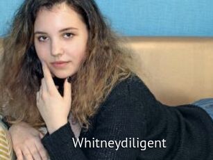 Whitneydiligent