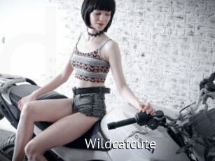 Wildcatcute