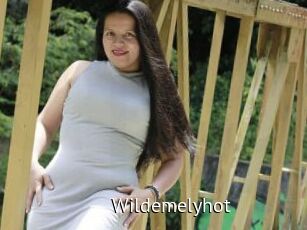 Wildemelyhot