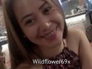 Wildflower69x