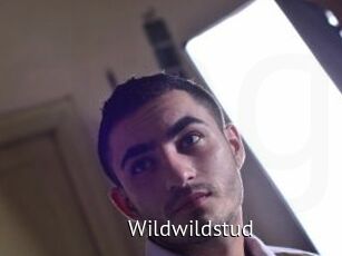 Wildwildstud