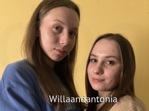 Willaandantonia