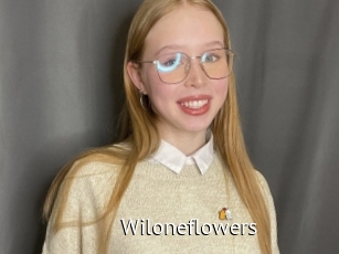 Wiloneflowers