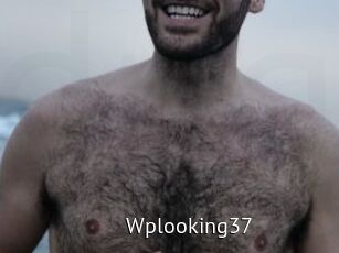 Wplooking37