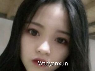 Wtdyanxun