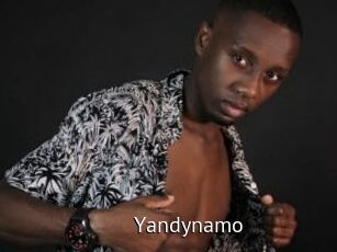 Yandynamo