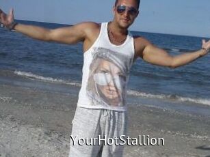 YourHotStallion