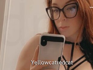 Yellowcatredcat