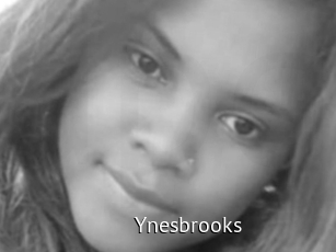 Ynesbrooks