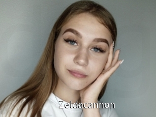 Zeldacannon