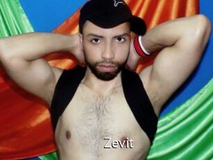 Zevit